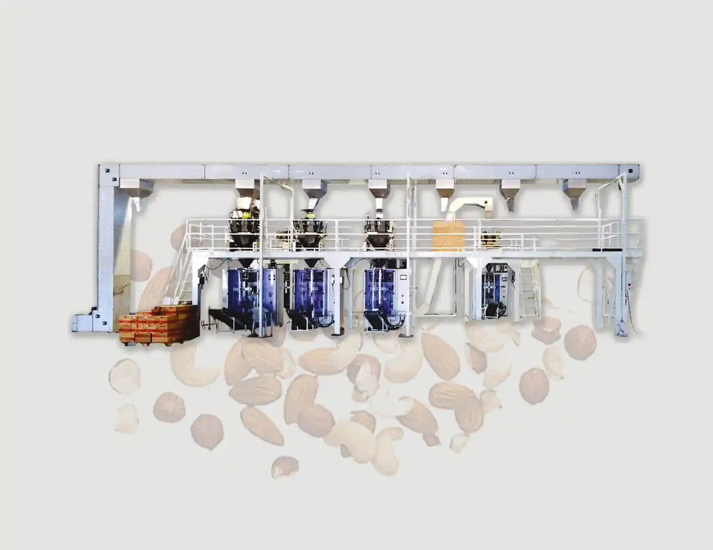 ELVMULTI Kuruyemiş İşleme Makinesi ve Ürün Taşıma Sistemi