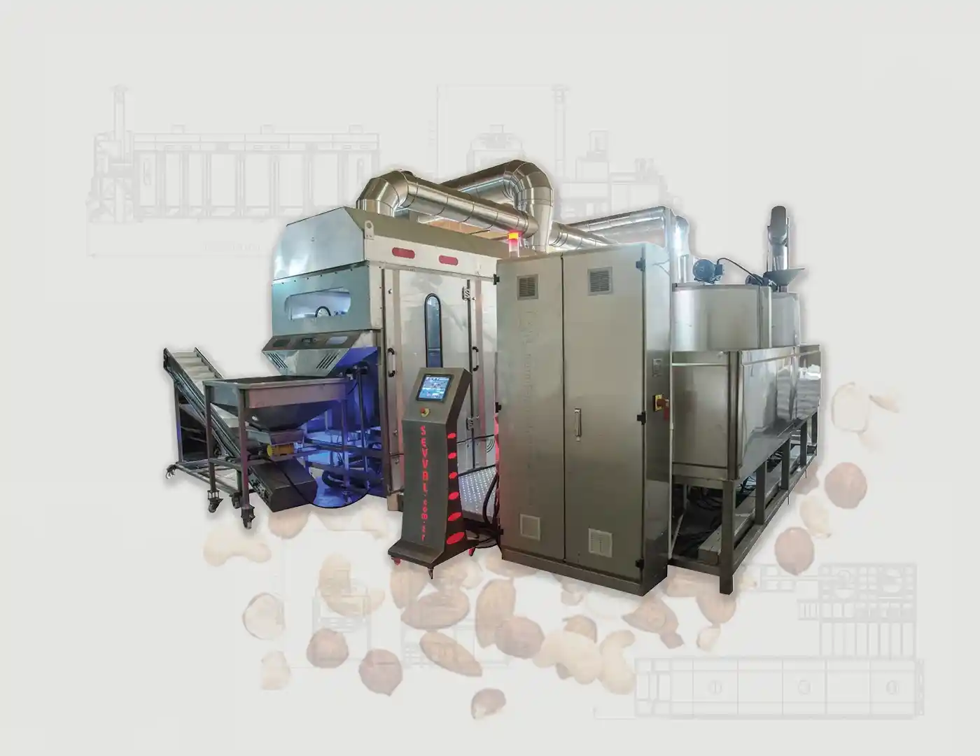 DFS300 Salamura Makinası